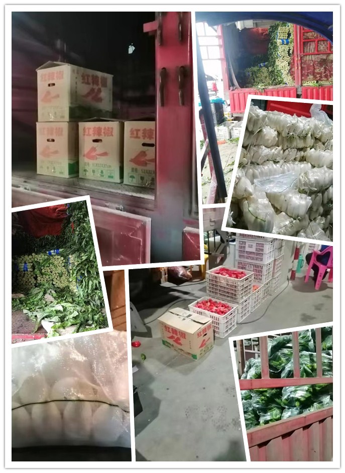 优发国际·随优而动一触即发