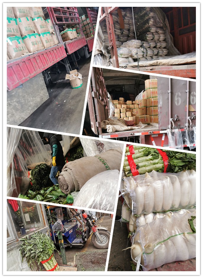 优发国际·随优而动一触即发