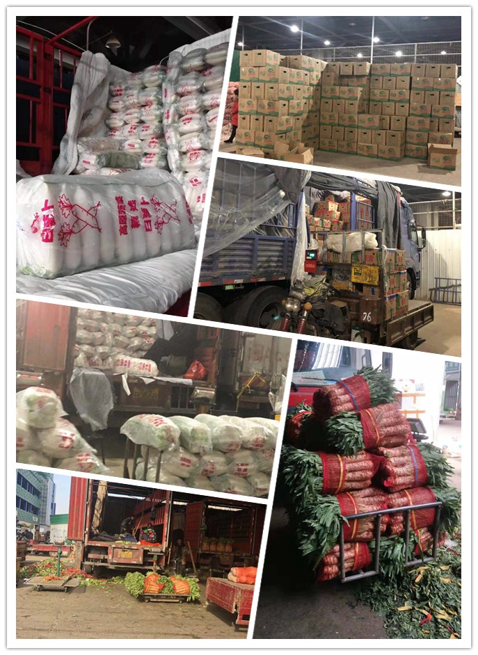 优发国际·随优而动一触即发