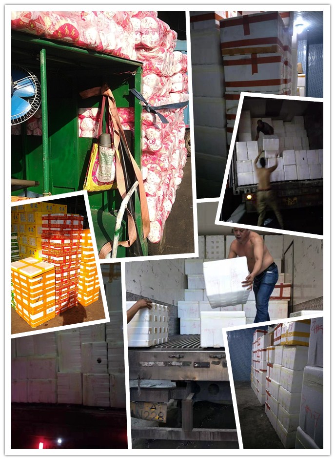 优发国际·随优而动一触即发