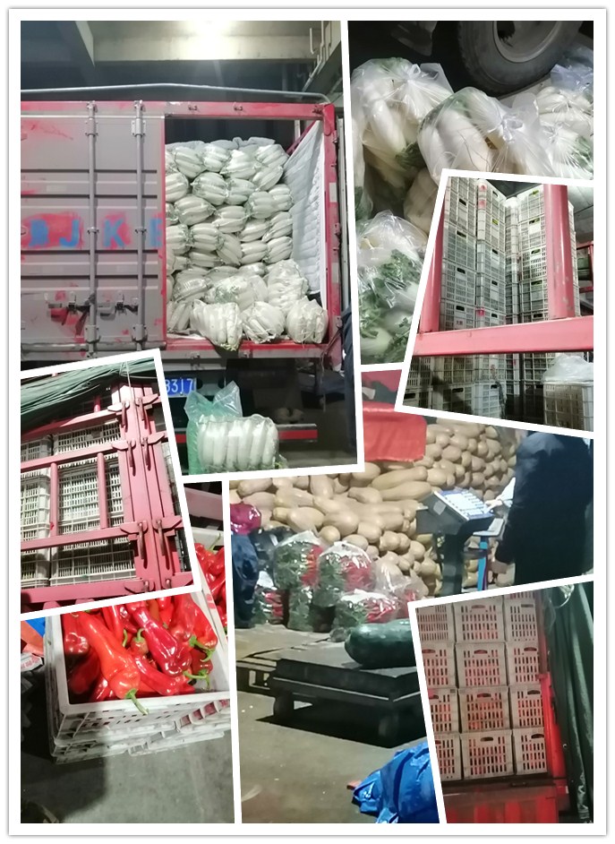 优发国际·随优而动一触即发