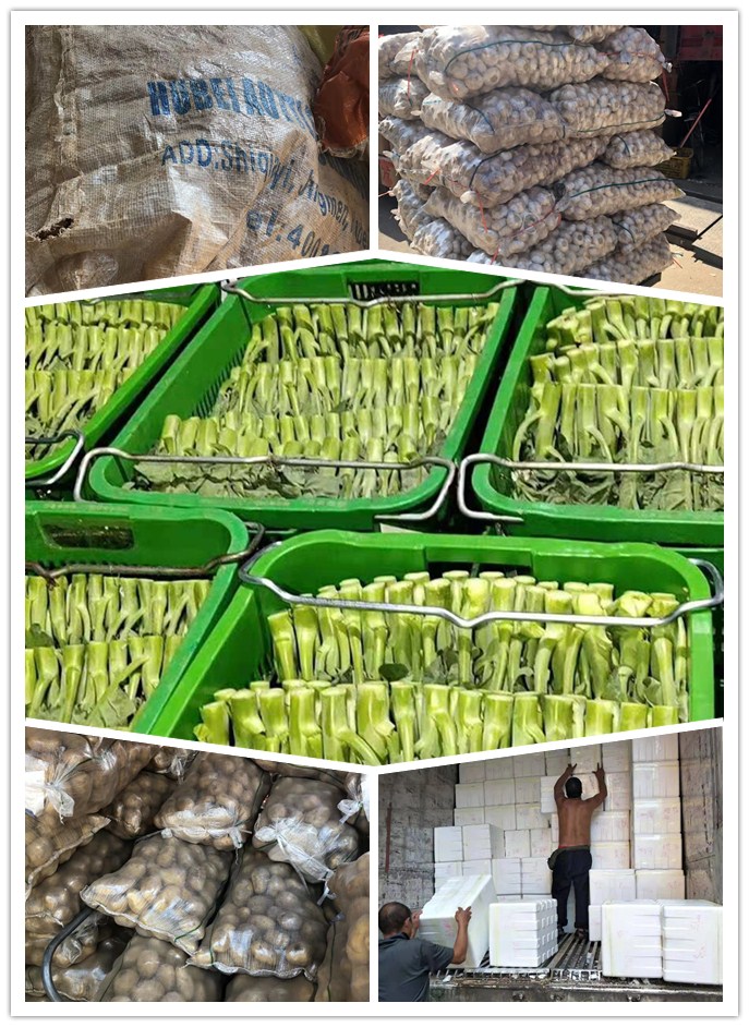 优发国际·随优而动一触即发