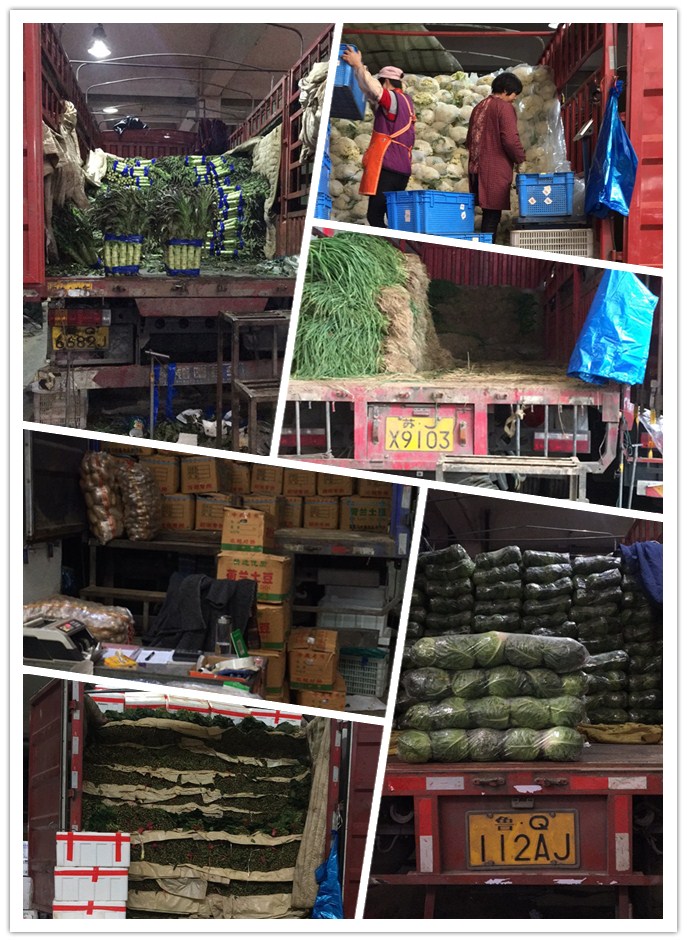 优发国际·随优而动一触即发