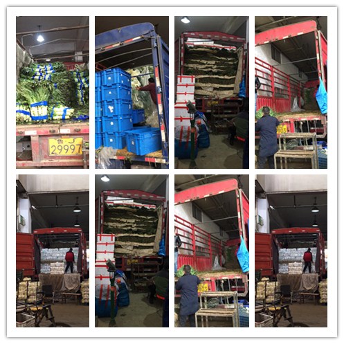 优发国际·随优而动一触即发