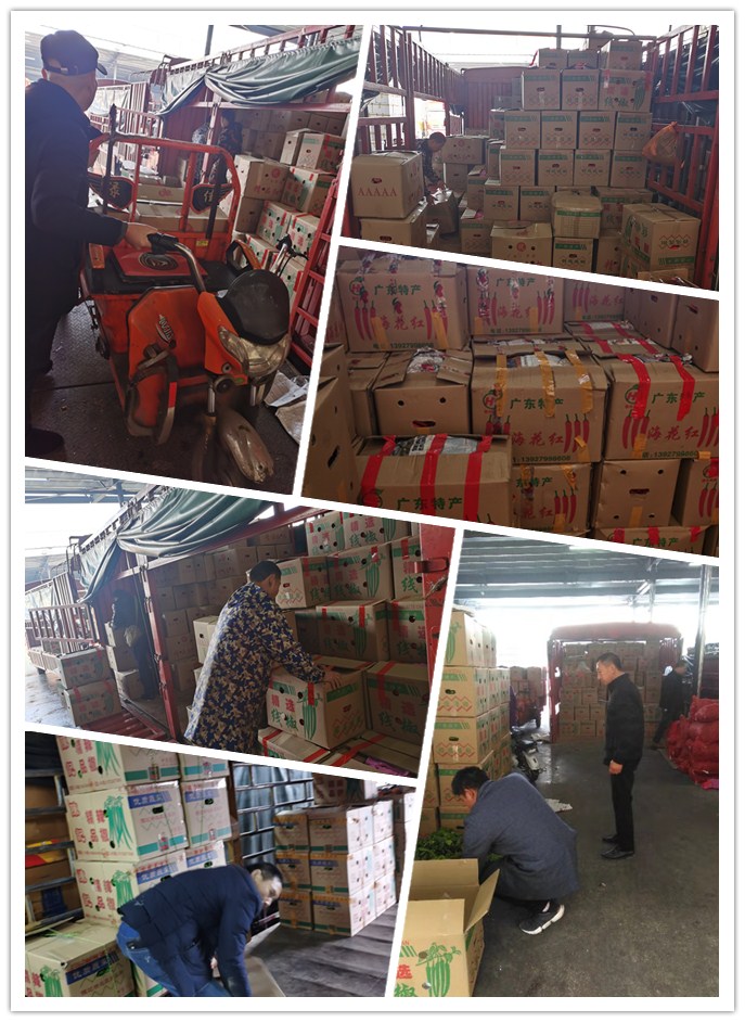 优发国际·随优而动一触即发