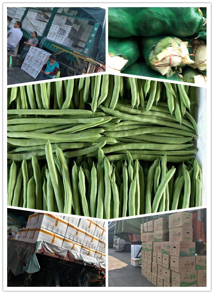 优发国际·随优而动一触即发