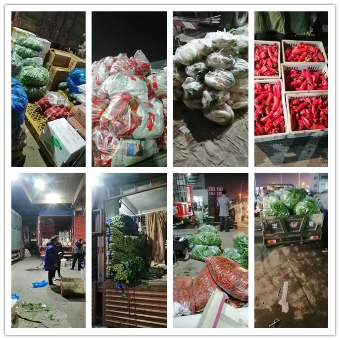 优发国际·随优而动一触即发