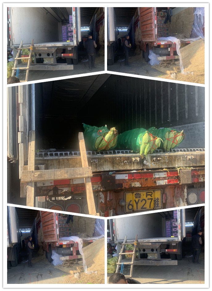 优发国际·随优而动一触即发