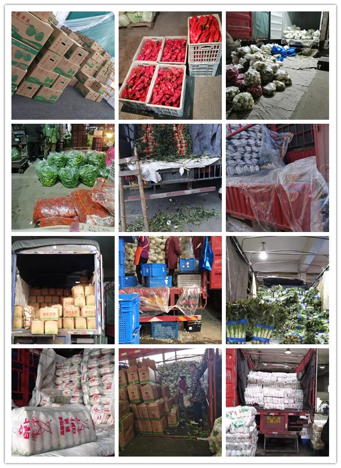 优发国际·随优而动一触即发