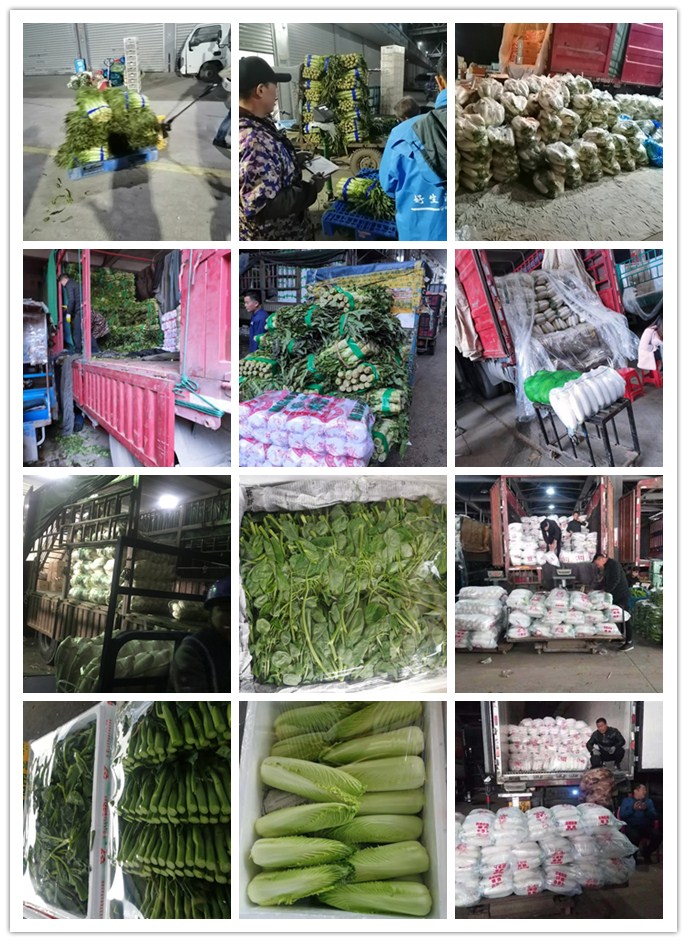 优发国际·随优而动一触即发