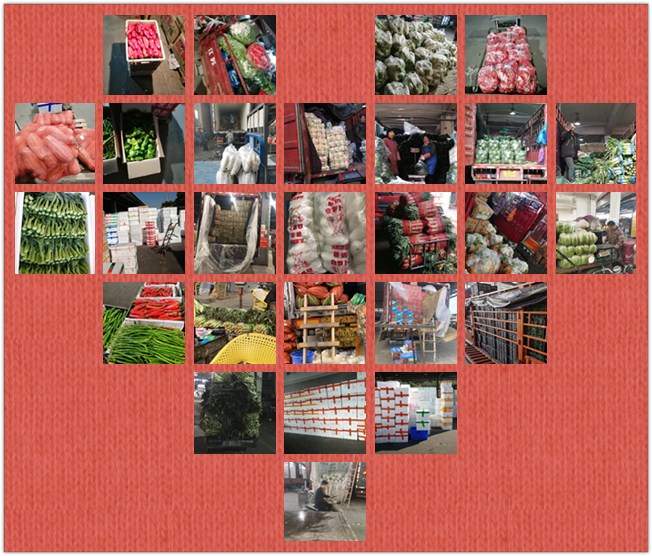 优发国际·随优而动一触即发