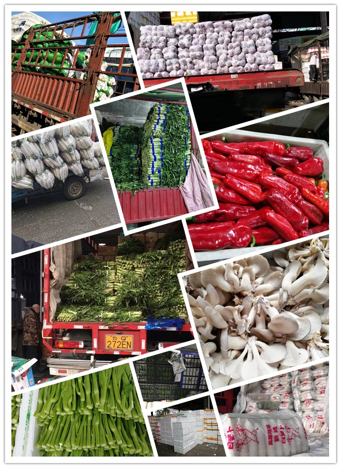 优发国际·随优而动一触即发