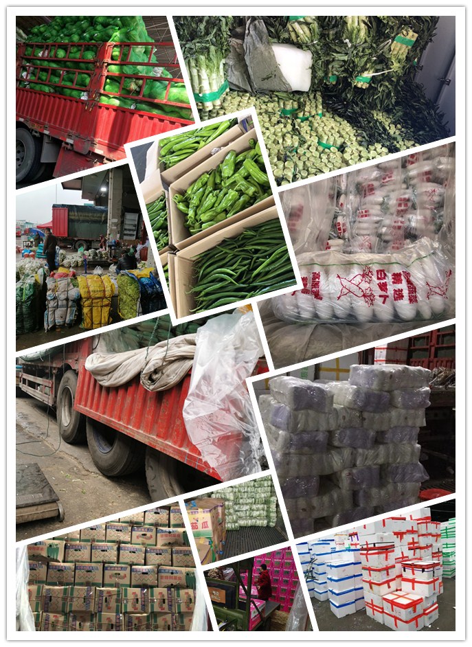 优发国际·随优而动一触即发