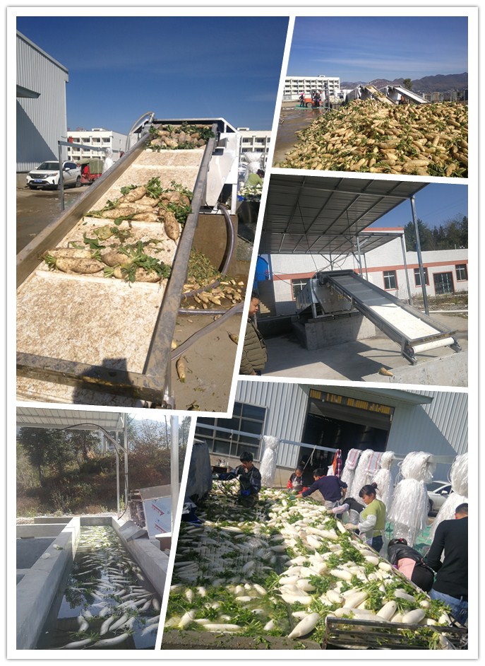 优发国际·随优而动一触即发