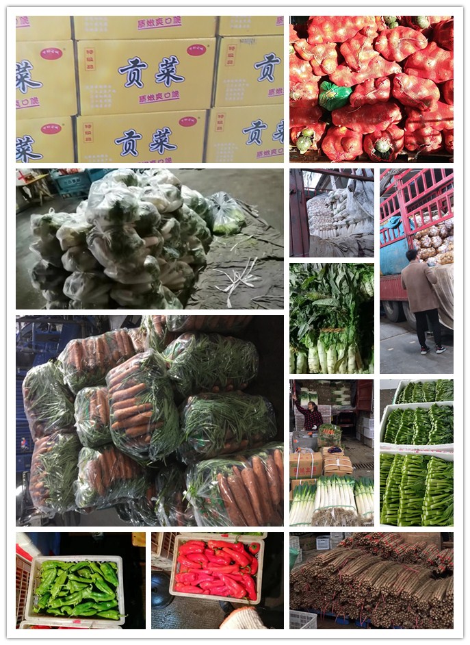 优发国际·随优而动一触即发