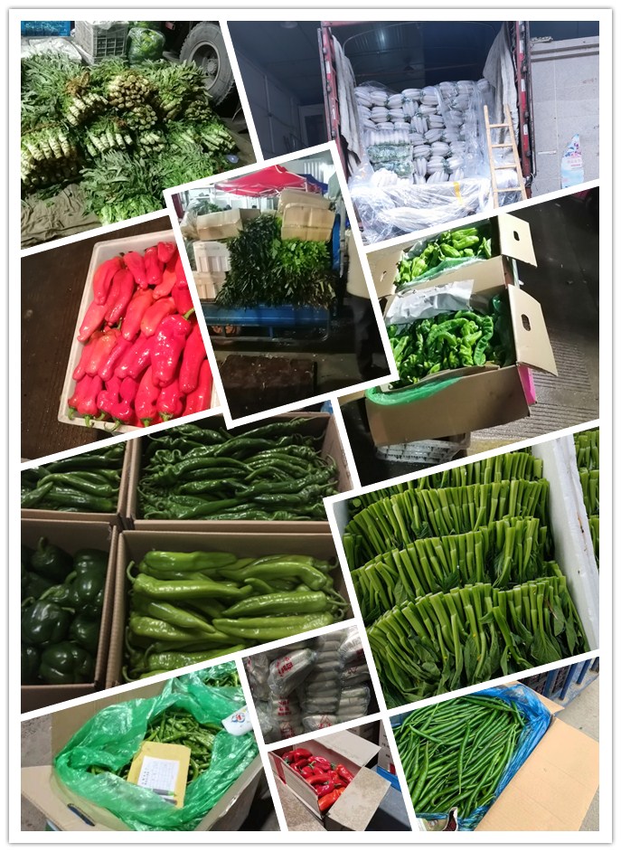 优发国际·随优而动一触即发