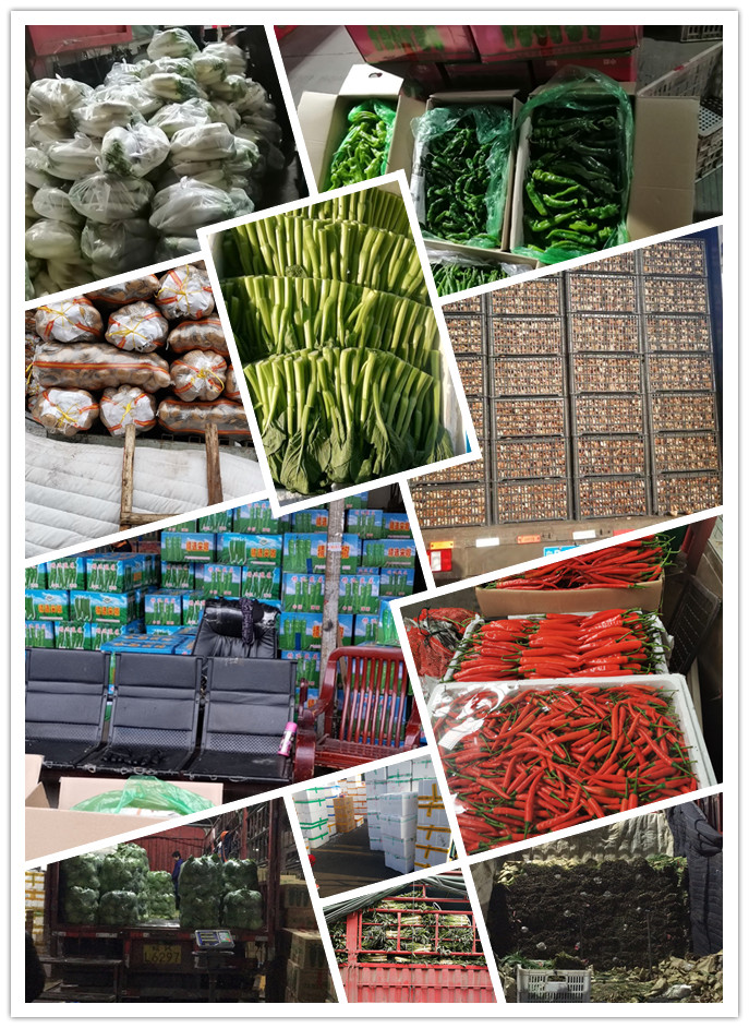 优发国际·随优而动一触即发