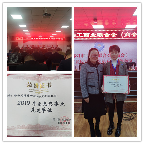 优发国际·随优而动一触即发