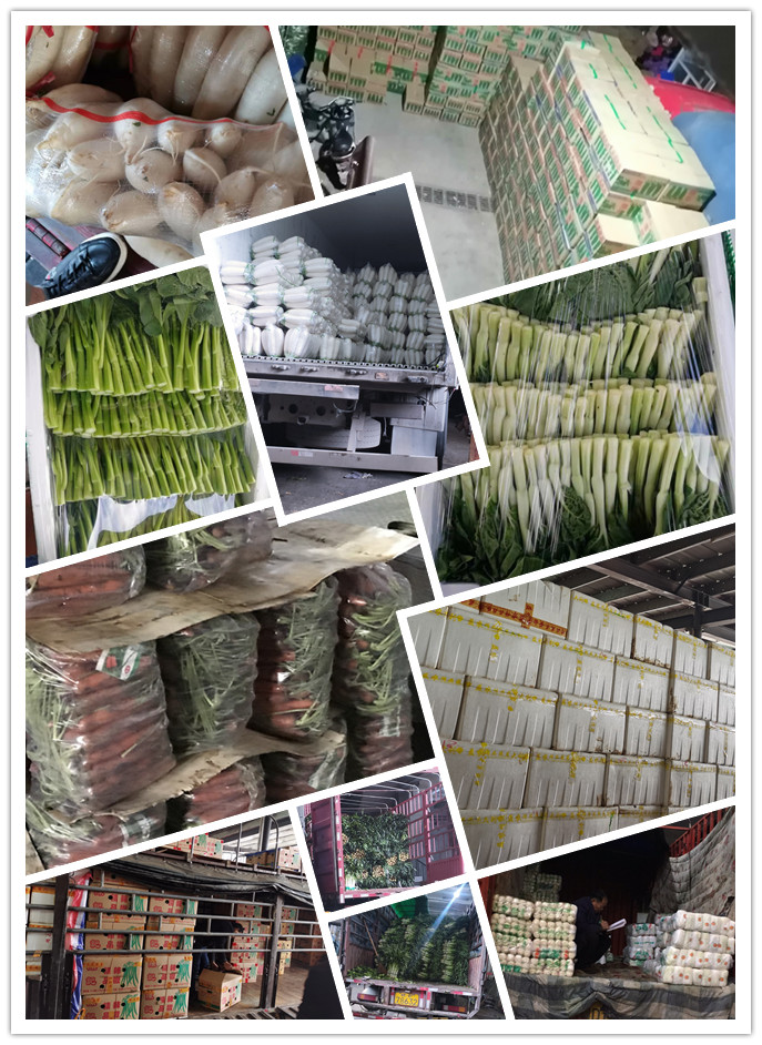 优发国际·随优而动一触即发