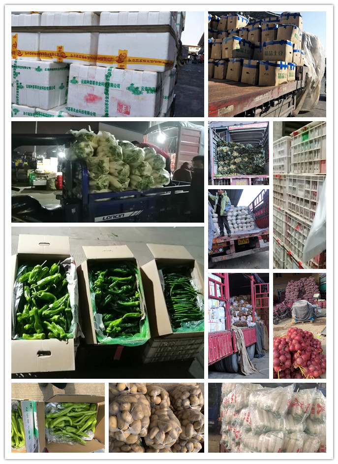 优发国际·随优而动一触即发