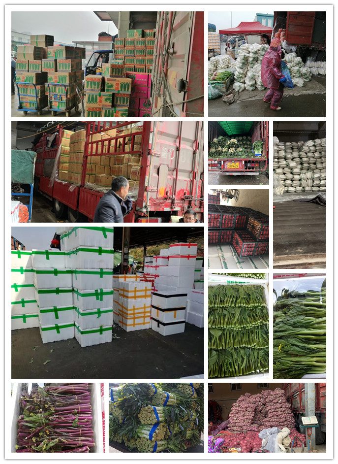 优发国际·随优而动一触即发