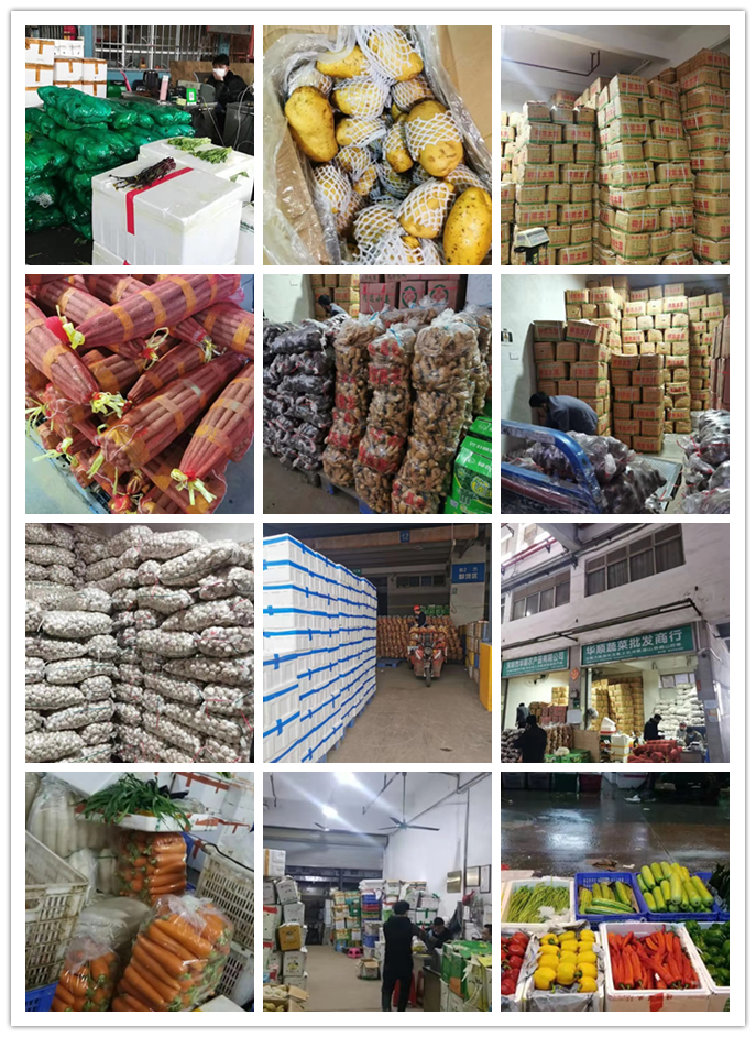 优发国际·随优而动一触即发