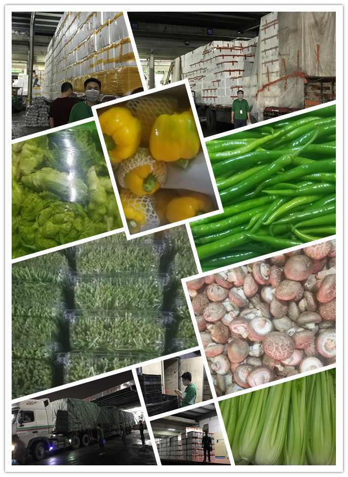 优发国际·随优而动一触即发