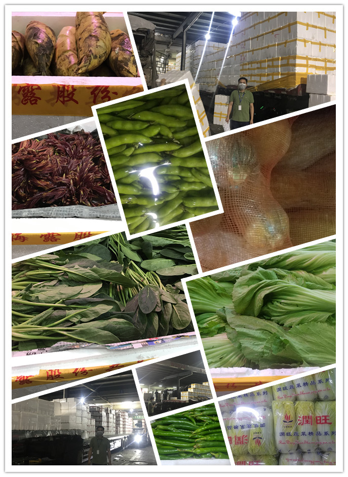 优发国际·随优而动一触即发