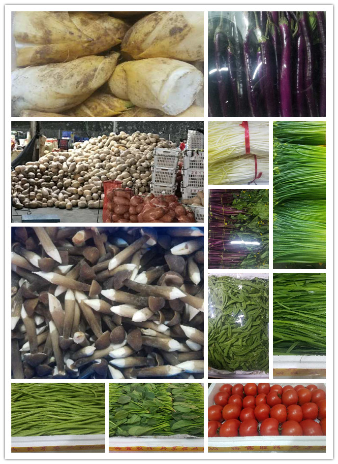 优发国际·随优而动一触即发