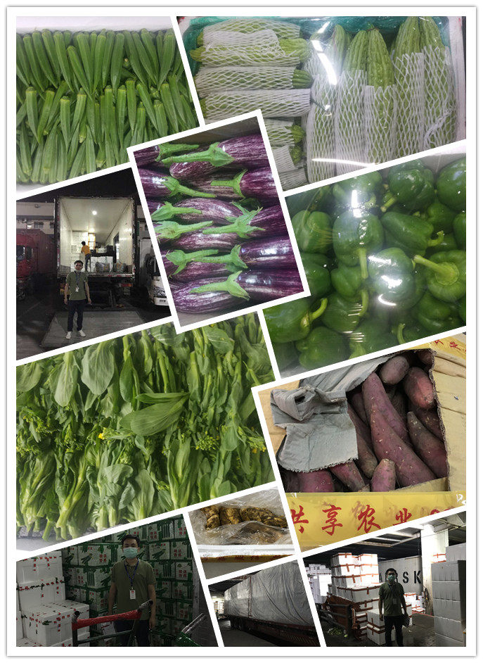 优发国际·随优而动一触即发