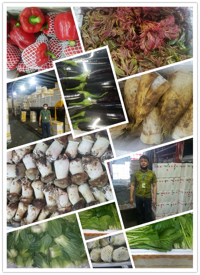 优发国际·随优而动一触即发