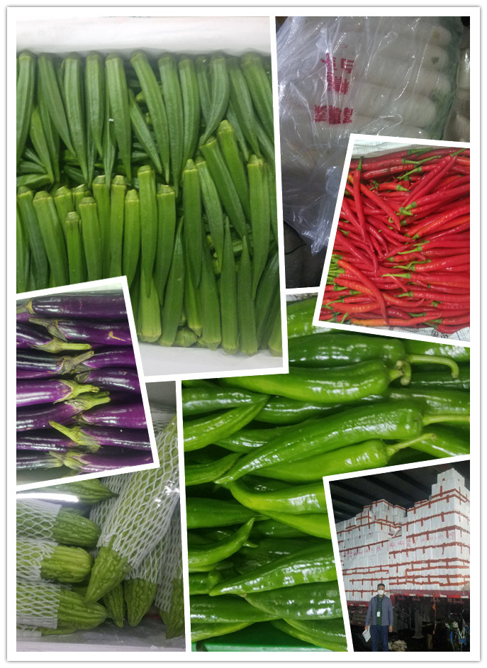 优发国际·随优而动一触即发