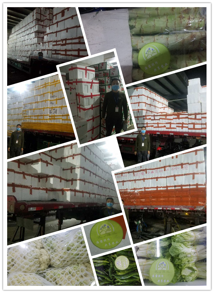 优发国际·随优而动一触即发