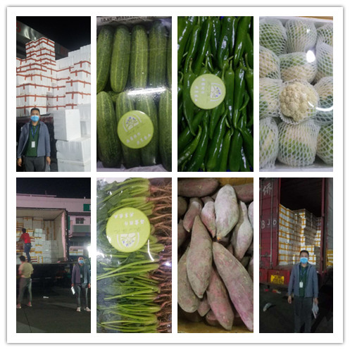 优发国际·随优而动一触即发