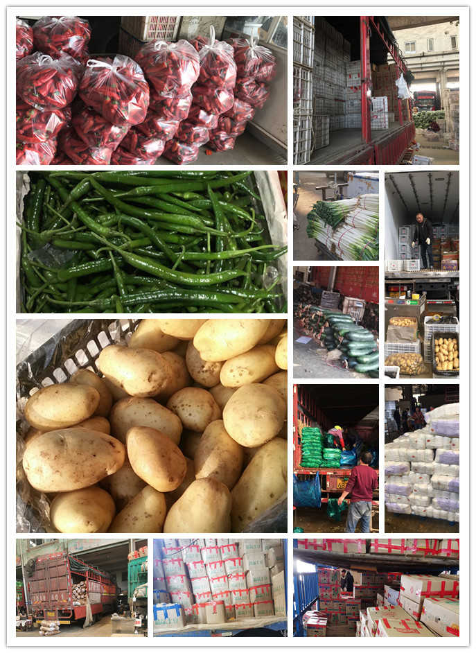 优发国际·随优而动一触即发