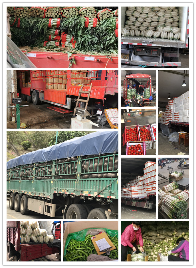 优发国际·随优而动一触即发