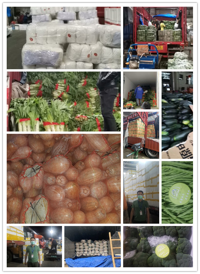 优发国际·随优而动一触即发