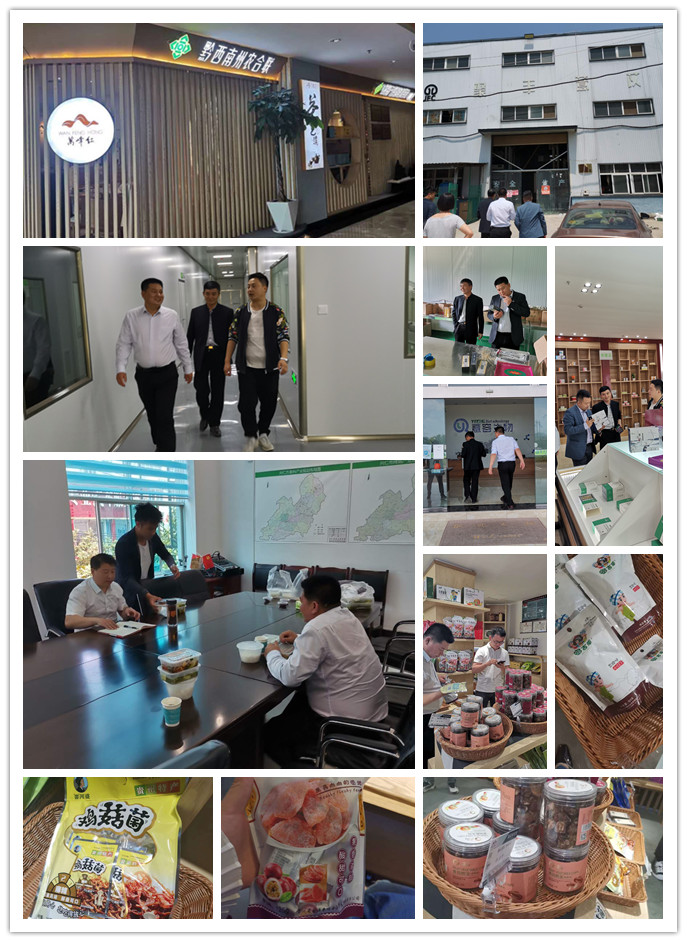 优发国际·随优而动一触即发