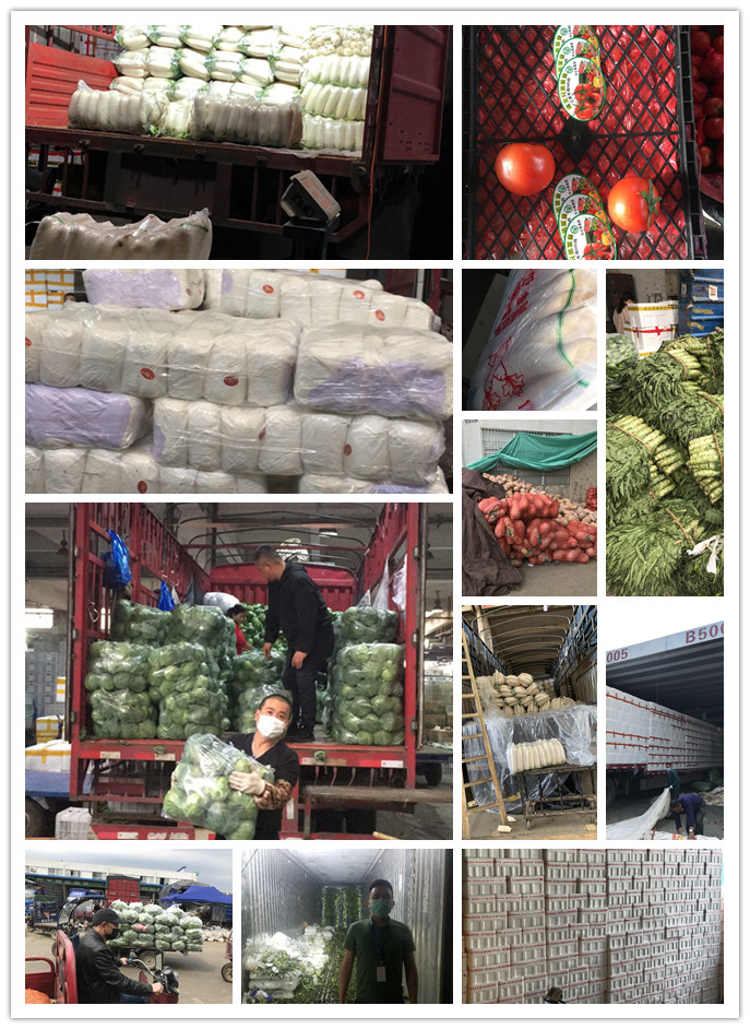 优发国际·随优而动一触即发