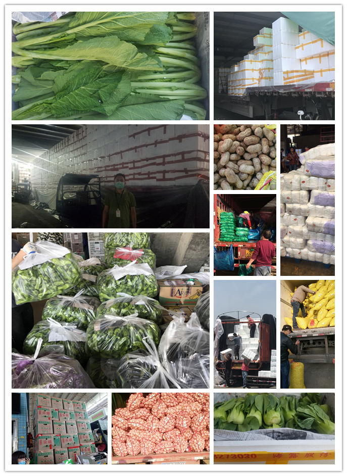 优发国际·随优而动一触即发