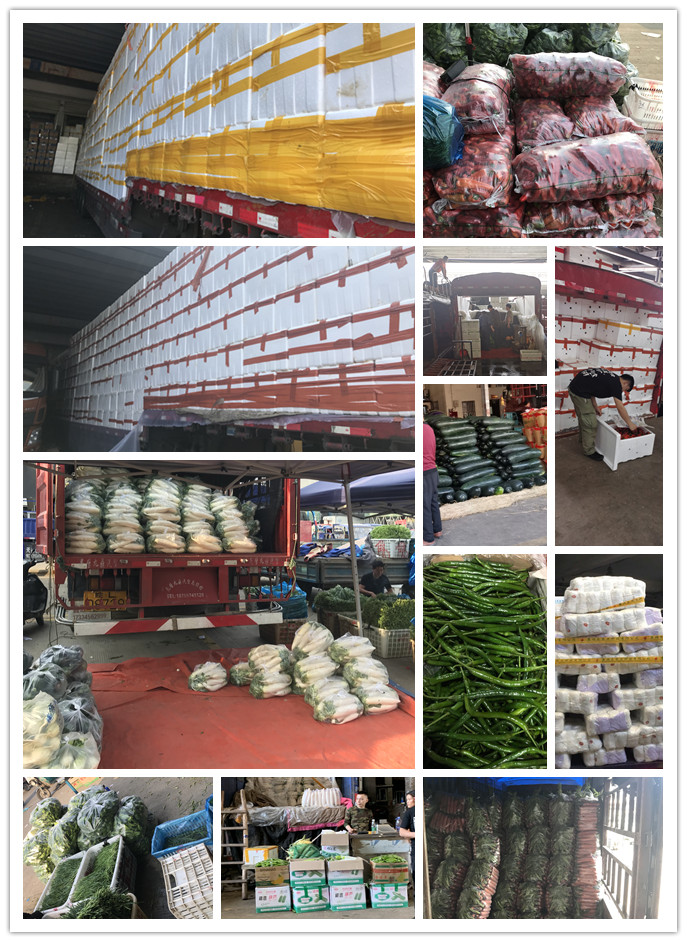 优发国际·随优而动一触即发