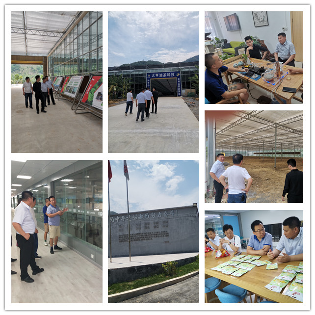 优发国际·随优而动一触即发