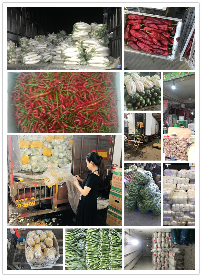 优发国际·随优而动一触即发