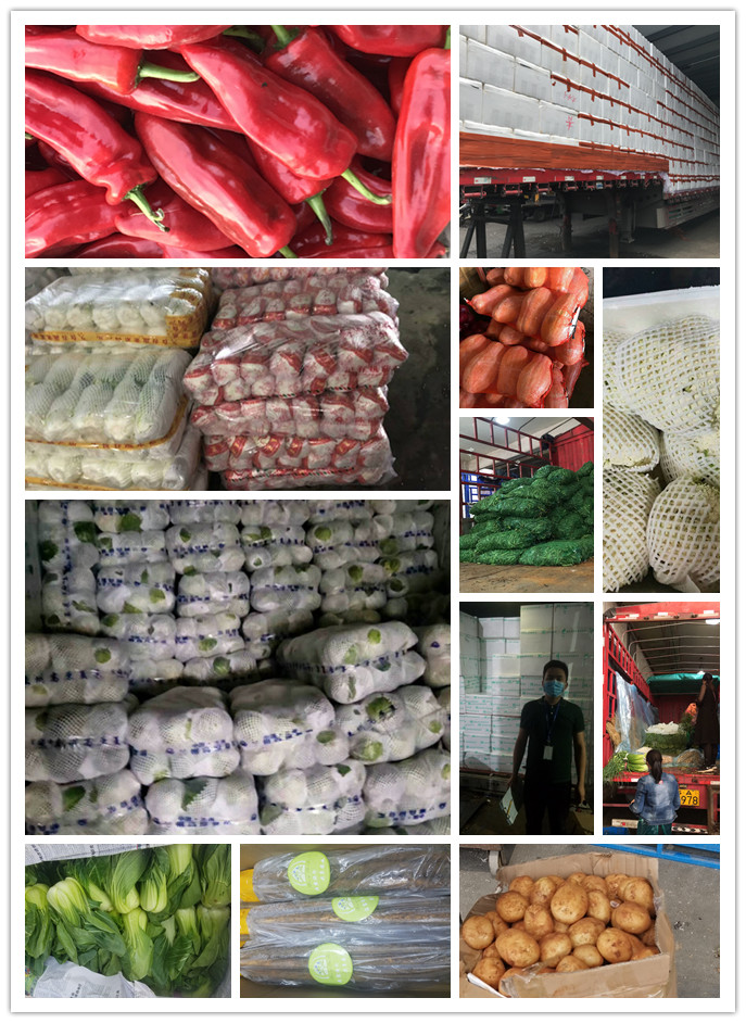 优发国际·随优而动一触即发