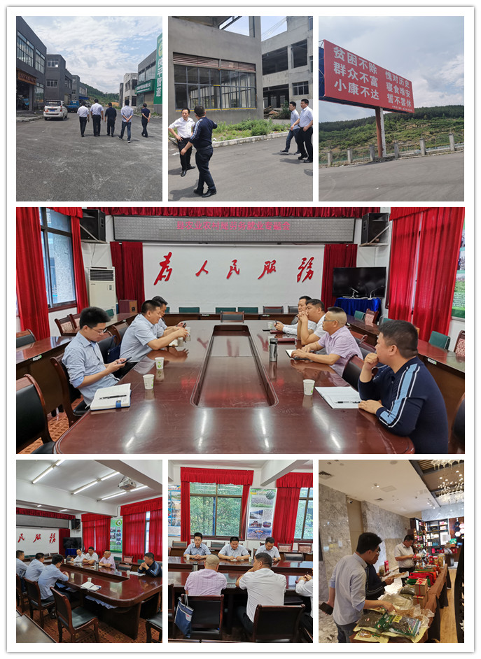 优发国际·随优而动一触即发