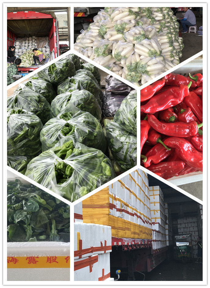 优发国际·随优而动一触即发