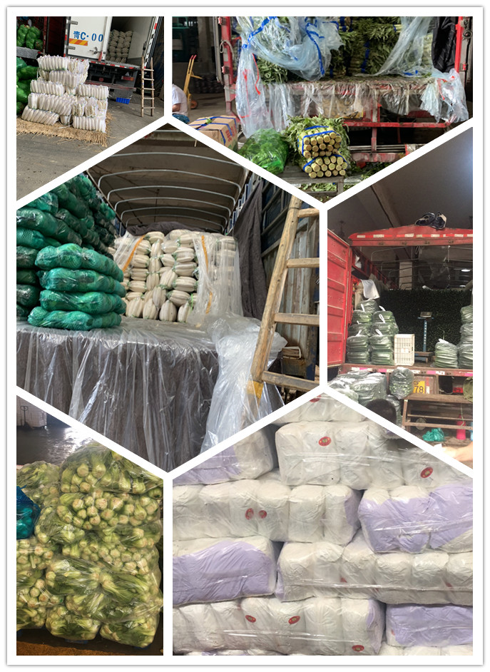 优发国际·随优而动一触即发