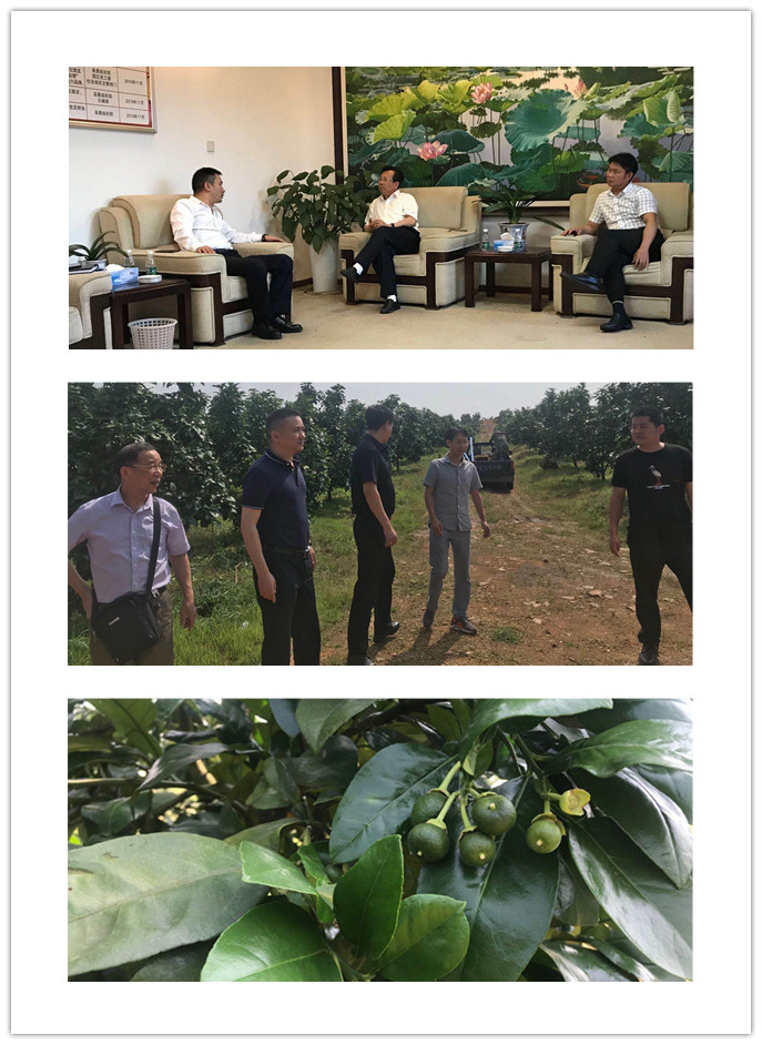 优发国际·随优而动一触即发