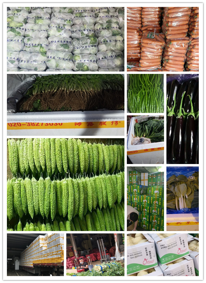 优发国际·随优而动一触即发