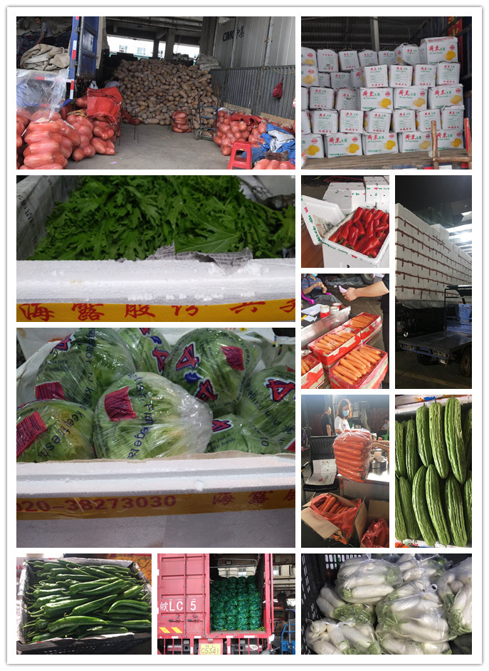 优发国际·随优而动一触即发